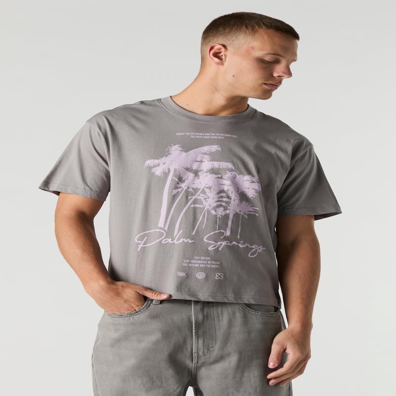 Palm Springs Graphic Boxy T-Shirt